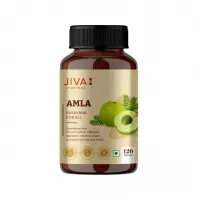 Амла, антиоксидант, 120 таблеток, Джива Аюрведа; Amla 120 Tablets, Jiva Ayurveda